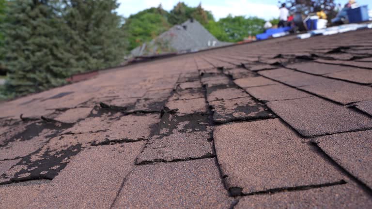 Best Gutter Installation and Repair  in Macopin, NJ