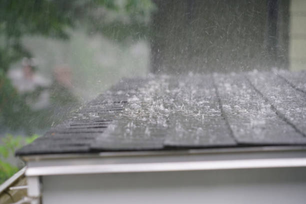 Best Asphalt Shingle Roofing  in Macopin, NJ